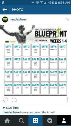 going to use the arnold blueprint and musclepharm workouts next month to try and bulk up a bit gymmotivation pinterest workout weightlifting and