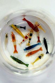 380 best aquarium s