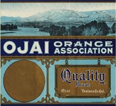 Fillmore Ventura County California Alamo Orange Citrus Fruit Crate Label Print