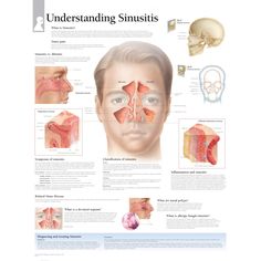 29 best ent ears nose throat images health ears throat anatomy ent anatomy