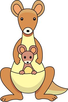 72 best kangaroos camels images on pinterest kangaroo