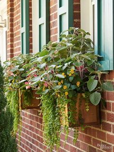 1797 Best Curb Eal Images On Pinterest In 2018 Casa Atractiva A Diy Weekend Curb Eal Makeover Ideas