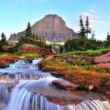 image result for beautiful flower gardens waterfalls love of gardens pinterest garden waterfall beautiful flowers garden and beautiful flowers - Beautiful Flower Gardens Waterfalls image result for beautiful flower gardens waterfalls love of gardens pinterest garden waterfall beautiful flowers garden and beautiful flowers - Beautiful Flower Gardens Waterfalls