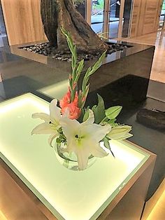 19 Best Business Flower Delivery Images Corporate Flowers 19 Best Business Flower Delivery Images Corporate Flowers