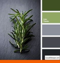 Color Palette 2074 Interior Design Pinterest Bedroom Wall Design Pinterest And Master Decorating Ideas With Blue Walls Bedroomdesigns