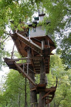 15 awesome tree house design ideas | awesome tree houses, tree 15 awesome tree house design ideas | awesome tree houses, tree