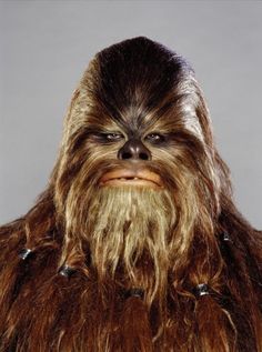 Adult art wookiee Accept. Adult art wookiee