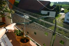 balkon katzensicher ohne netz