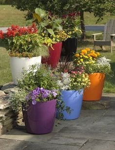 25 Best Wheeled Planters And Stands Images On Pinterest Trough Large Flower Pots Plastic Rolling Viva Self Watering Planters