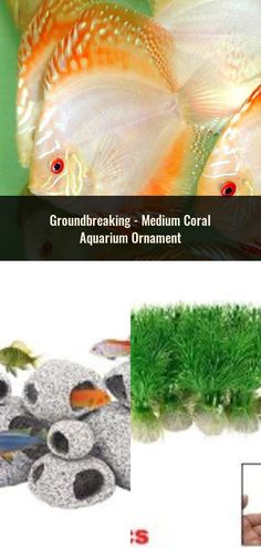 Fish Tank Decoration Silicone Ornament SLOME Aquarium Glowing Lotus Decorations Eco-Friendly for Freshwater Saltwater Aquarium Betta Fish Decorations