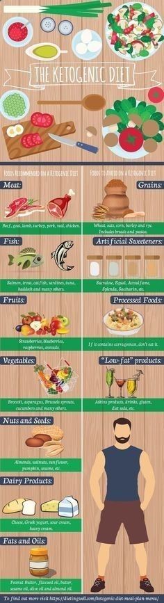 Bodybuilding diet plan low carb picture 9