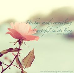 quotes psalm 19