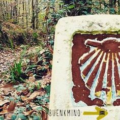 120 Ideas De Camino De Santiago Camino De Santiago Camino Santiago