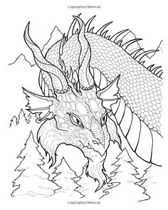 fantastical dragons coloring book tabitha ladin