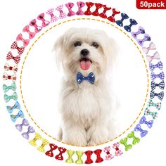 Ogquaton Chien Automne V/êtements Chat Jupe Teddy Automne et Hiver Nouveaux V/êtements Robe De Mari/ée pour Chien Fournitures pour Animaux Rose
