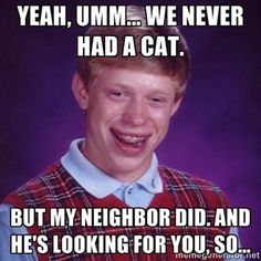 haha \ b7850832734ff6596b856f2514628fc8 haha meme bad luck brian haha \