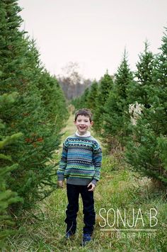 images of cincinnati christmas tree farm christmas tree images of cincinnati christmas tree farm christmas tree
