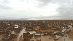 36 Ideas De Tinduf Campos De Refugiados Sáhara Occidental Desierto Sahara