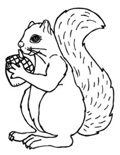 acorn gift for squirrel coloring pages animal coloring coloring