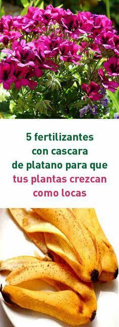 5 Fertilizantes Con Cascara De Platano Para Que Tus Plantas Crezcan Como Locas Fertilizante Cascara De Platano Abonos Para Plantas Abono Natural Para Plantas