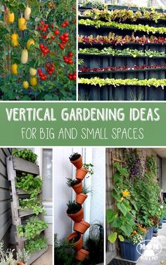 Small Space Garden Ideas top 10 tips for small garden design to transform your space Small Space Garden Ideas top 10 tips for small garden design to transform your space