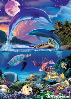 48 best coral reefs