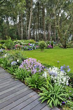 Lot de 50 graines dhortensia bleues de fleurs dhortensia de jardin de cour en pot de graines rares bleu de bonsaï Lot de 50 graines dhortensia bleues de fleurs dhortensia de jardin de cour en pot de graines rares bleu de bonsaï