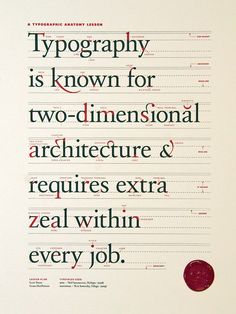 42 best anatomy of