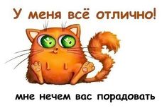 У меня все отлично!