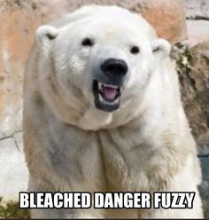 112 best animal names