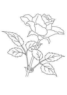 7 Best Printable flower coloring pages images b8b821ea b317bcb6c5eac0ff743 flower coloring pages kids coloring pages