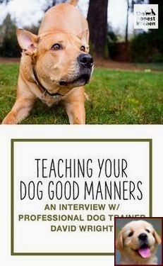 House Training A Puppy Fast And Clicker Training Dogs To Come