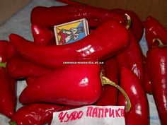 Усатому перцу привалило от сладкой курвы Усатому перцу привалило от сладкой курвы