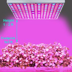 Hydrophonics