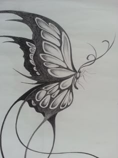 Butterfly Drawing Tattoos Flower About
