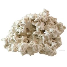 30 best arc reef