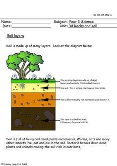 Worksheet Soil Formation Worksheet how is soil formed articles earth science and school primaryleap co uk layers worksheet