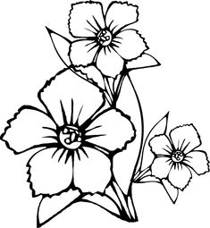 Printable Flower Coloring Pages Free Online Sheets For Kids Get The Latest Images