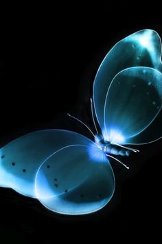 121 best background themes for laptop pc images background