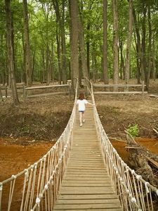 Old fart and twink lip Building a swinging bridge