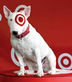target spot dog target spot dog