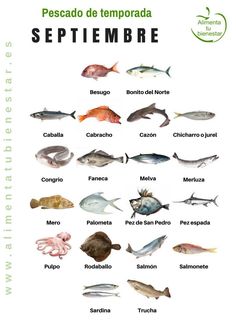 900 Ideas De Salados En 2021 Gastronomia Comida Recetas Para Cocinar