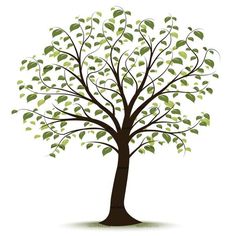 family tree genealoy and backgrounds clipart family history