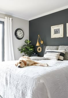 High contrast, modern farmhouse master bedroom. #modernfarmhouse #highcontrast #ironore Modern Farmhouse, Farmhouse Style Bedroom Decor, Farmhouse Style Bedrooms, Bedroom Colors, Farmhouse Master Bedroom