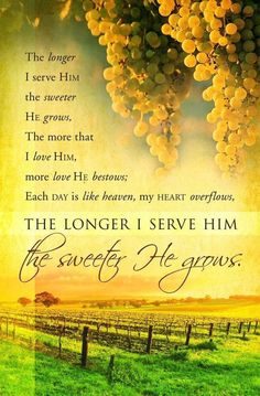 864 best bible verses quotes and inspirational messages images on