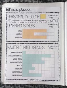 Essays on learning styles and personality types