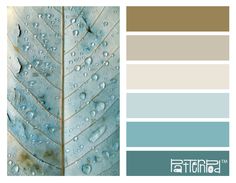 58 best colour palettes images on pinterest color combinations r