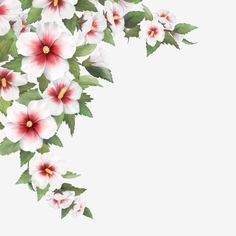 170 Flowers Ideas Flowers Flower Art Flower Clipart 170 Flowers Ideas Flowers Flower Art Flower Clipart