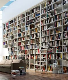 apparently i need these bookshelves because no matter what size bookshelf i buy its never - Wall Sized Bookshelves apparently i need these bookshelves because no matter what size bookshelf i buy its never - Wall Sized Bookshelves