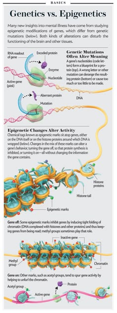116 best DNA homology images on Pinterest Evolution science, Gout - new molecular blueprint definition 116 best DNA homology images on Pinterest Evolution science, Gout - new molecular blueprint definition